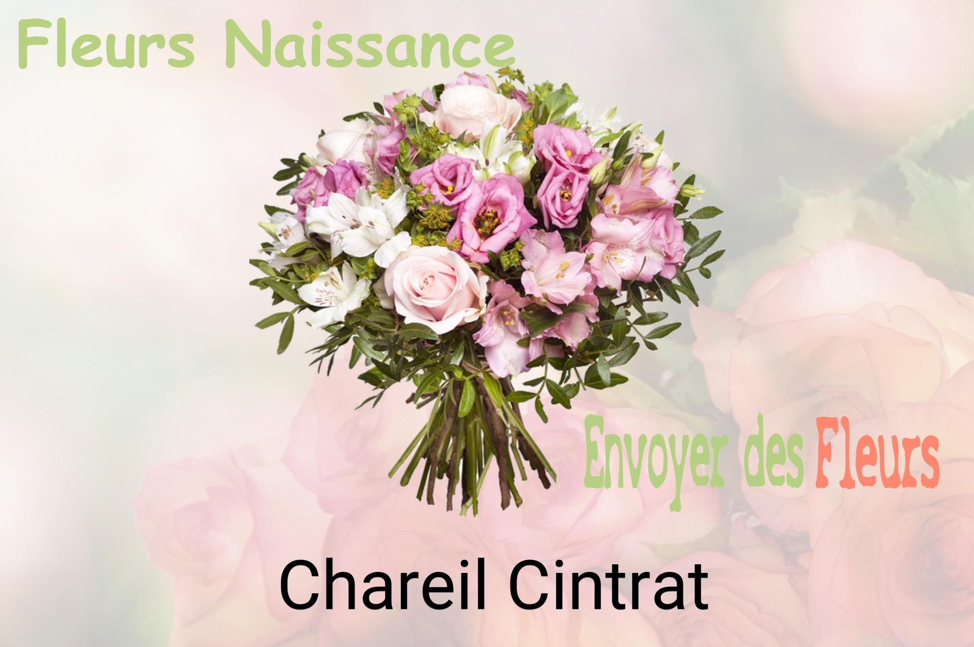 Bouquet de fleurs de naissance livré à Chareil-Cintrat